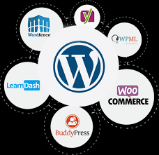 Approch The Custom Wordpress Development Services For  Business Requirements